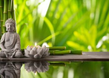 Is Your Home’s Feng Shui Supporting Your Best Life?